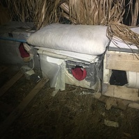 photo de livraison pour Félin Pour L’Hôte