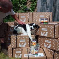 photo de livraison pour Raggie Dog Retreat