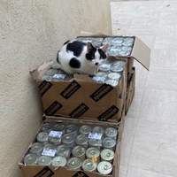 photo de livraison pour APATE