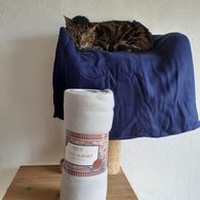photo de livraison pour Les Chats de la Rue