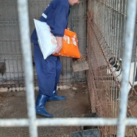 photo de livraison pour RespekTIERE Leben e.V.