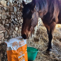 photo de livraison pour Arche et Relais