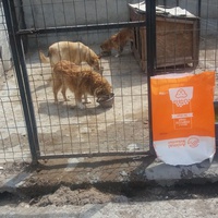 photo de livraison pour Speranta Pentru Animale