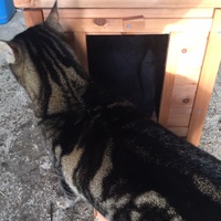 photo de livraison pour Refuge du Poil à la Plume