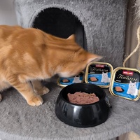 photo de livraison pour Chatia