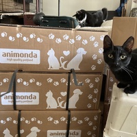 photo de livraison pour Association C.A.T.S. Chat Animal Terrien Solidarité