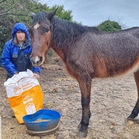 photo de livraison pour La Retraite des Chevaux des Causses