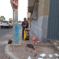 photo de livraison pour Corinne Teissier