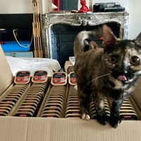 photo de livraison pour Association C.A.T.S. Chat Animal Terrien Solidarité
