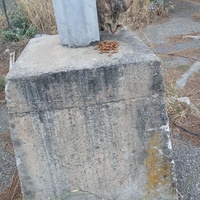 photo de livraison pour L'Ecole du Chat Istreen