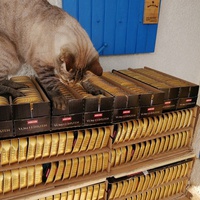 photo de livraison pour L'Ecole du Chat Istreen