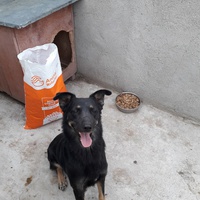 photo de livraison pour Speranta Pentru Animale