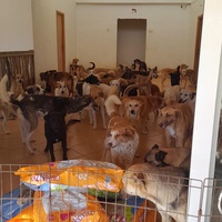 photo de livraison pour Sanctuaire de la Faune de Tanger (SFT)