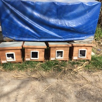 photo de livraison pour Ecole du Chat des Alpilles