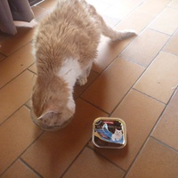 photo de livraison pour Au Rendez-vous des Animaux
