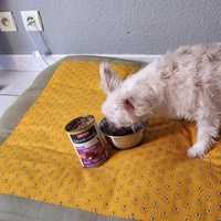 photo de livraison pour AVRAH