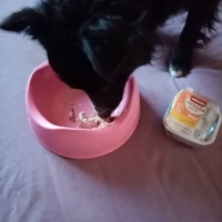 photo de livraison pour AVRAH
