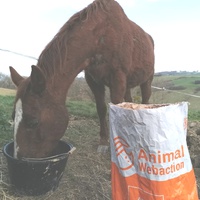 photo de livraison pour Les Crinières de Salherm
