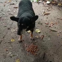 photo de livraison pour Ivana Nikolić