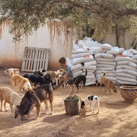 photo de livraison pour Help Adopt Moroccan Animals