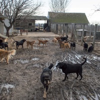 photo de livraison pour Azil Bella