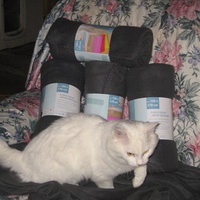 photo de livraison pour Jardin des Chats
