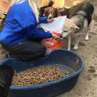photo de livraison pour Saving Orphaned Souls Sheila's Animal Rescue Mission