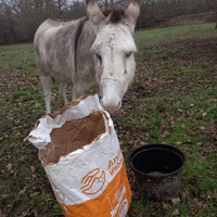 photo de livraison pour Arche et Relais