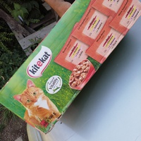 photo de livraison pour Les Chats de Pierrot