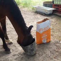 photo de livraison pour Happy Horse Day