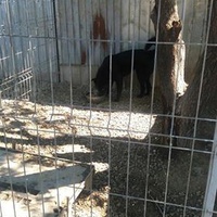 photo de livraison pour Carmina Butuc