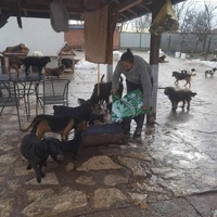 photo de livraison pour ПРИХВАТИЛИШТЕ ДРАЖЕВАЦ