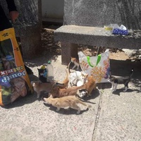 photo de livraison pour ADAN Essaouira