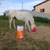 photo de livraison pour Les Crinières de Salherm