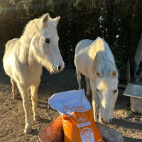 photo de livraison pour Le Souffle d’Éole