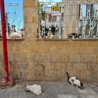 photo de livraison pour ADAN Essaouira