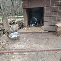 photo de livraison pour Samira Gagula