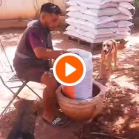 photo de livraison pour Help Adopt Moroccan Animals