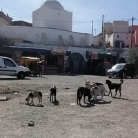 photo de livraison pour ADAN Essaouira