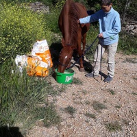 photo de livraison pour La Retraite des Chevaux des Causses
