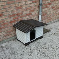 photo de livraison pour Les Chats'perlipopette Billy Berclausiens