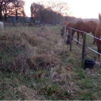 photo de livraison pour Refuge cheval Espoir