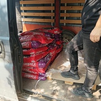 photo de livraison pour Civic Initiative Kane Korzo Skopje