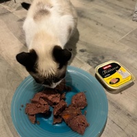 photo de livraison pour SOS COUSSINETS AUDOIS