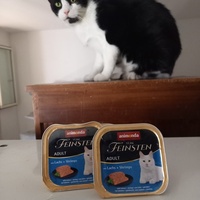 photo de livraison pour Les Pattounes de l'Espoir