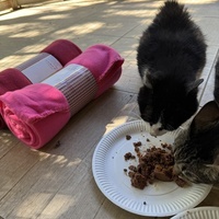 photo de livraison pour APATE