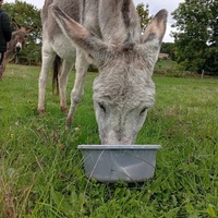 photo de livraison pour ADADA