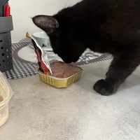 photo de livraison pour Les P’tits Bâtards
