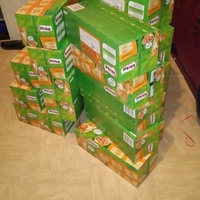 photo de livraison pour Protect Cat