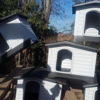 photo de livraison pour Chats Libres de Béziers